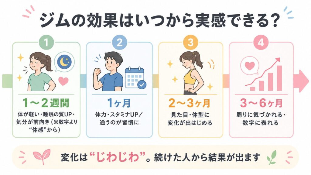 ジムの効果が出る時期のタイムライン（2週間〜6ヶ月の体感）
